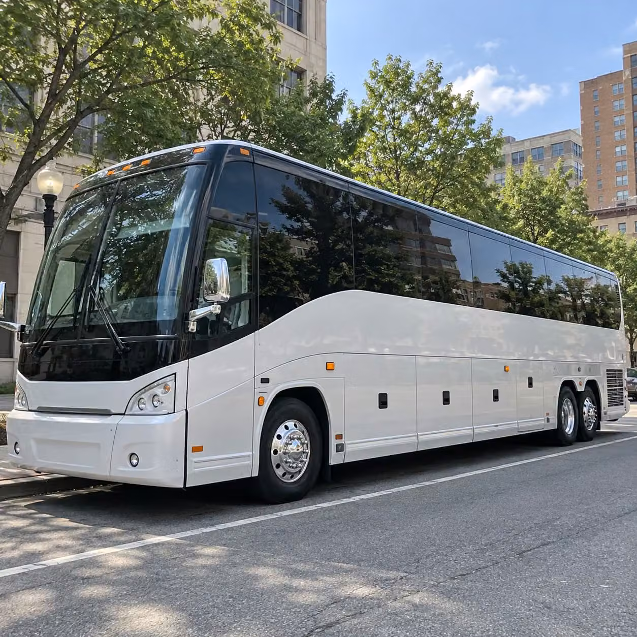 whatever your prom night looks like in springfield there s a bus for it